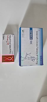92b454e9098d300d0c2b852546477b90_1745286690_3417.jpg